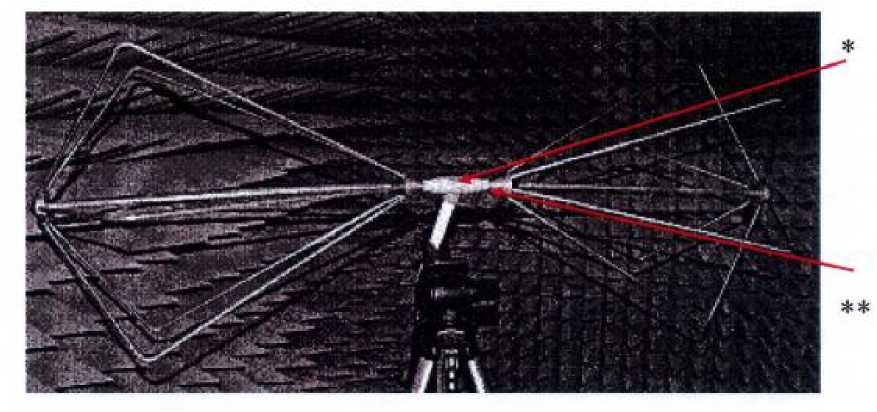 Внешний вид. Антенны измерительные дипольные, http://oei-analitika.ru рисунок № 3