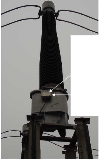 Приказ Росстандарта №1231 от 20.06.2025, https://oei-analitika.ru 