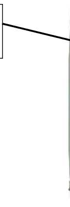 Приказ Росстандарта №98 от 22.01.2026, https://oei-analitika.ru 