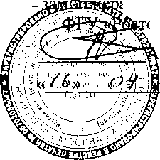 Внешний вид. Весы автомобильные, http://oei-analitika.ru рисунок № 1