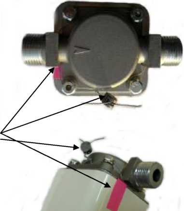 Внешний вид средства измерений: Счетчики газа, заводской номер №001209 