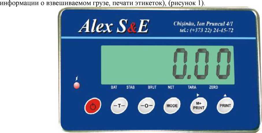 Внешний вид. Весы неавтоматического действия (вагонные электронные весы), http://oei-analitika.ru рисунок № 1