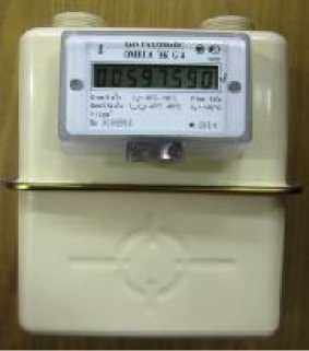 Внешний вид. Счетчики газа объемные диафрагменные с автоматической температурной компенсацией, http://oei-analitika.ru рисунок № 1