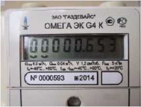 Внешний вид. Счетчики газа объемные диафрагменные с автоматической температурной компенсацией, http://oei-analitika.ru рисунок № 7