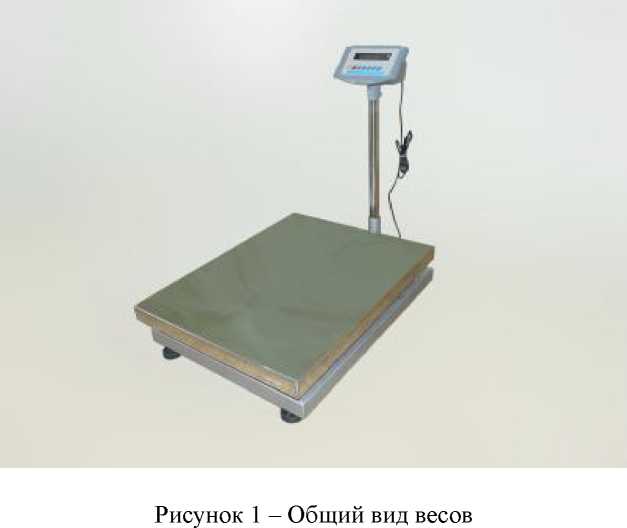 Внешний вид. Весы товарные электронные, http://oei-analitika.ru рисунок № 1