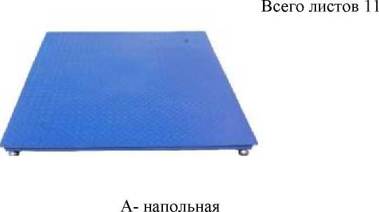 Внешний вид. Весы платформенные электронные (ДОН-СВ), http://oei-analitika.ru 