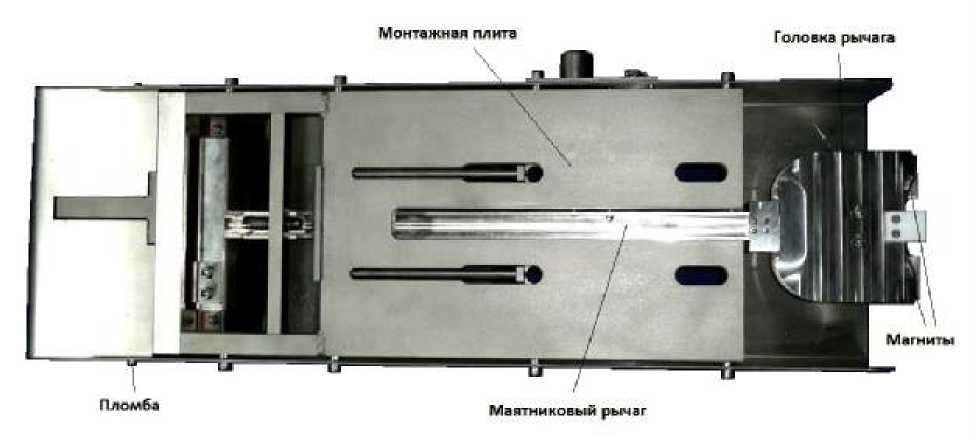 Внешний вид. Датчики маятниковые для вихретоковых датчиков, http://oei-analitika.ru рисунок № 1