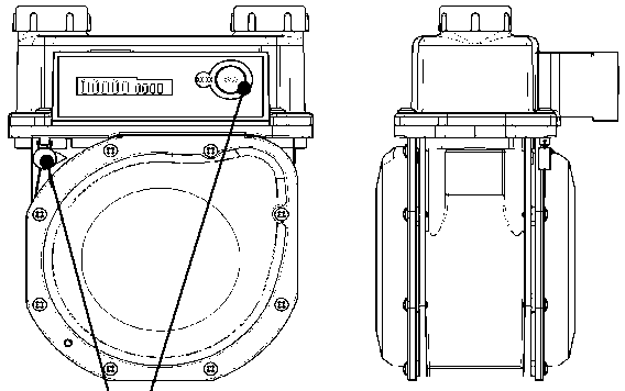 Внешний вид. Счетчики газа двухкамерные, http://oei-analitika.ru рисунок № 2