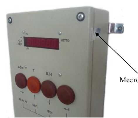 Внешний вид. Весы товарные тензометрические, http://oei-analitika.ru рисунок № 3