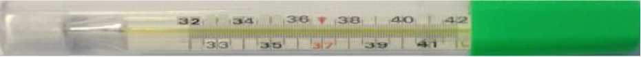Внешний вид. Термометры медицинские максимальные стеклянные, http://oei-analitika.ru рисунок № 1