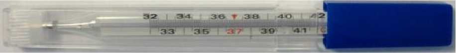 Внешний вид. Термометры медицинские максимальные стеклянные, http://oei-analitika.ru рисунок № 2