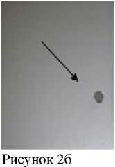 Внешний вид. Спектрометры атомно-абсорбционные, http://oei-analitika.ru рисунок № 3