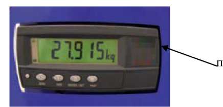 Внешний вид. Установки для определения массы газа в баллонах, http://oei-analitika.ru рисунок № 8