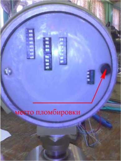 Внешний вид. Преобразователи измерительные взрывозащищенные, http://oei-analitika.ru рисунок № 3