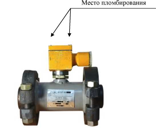Внешний вид. Счетчики газа турбинные, http://oei-analitika.ru рисунок № 1