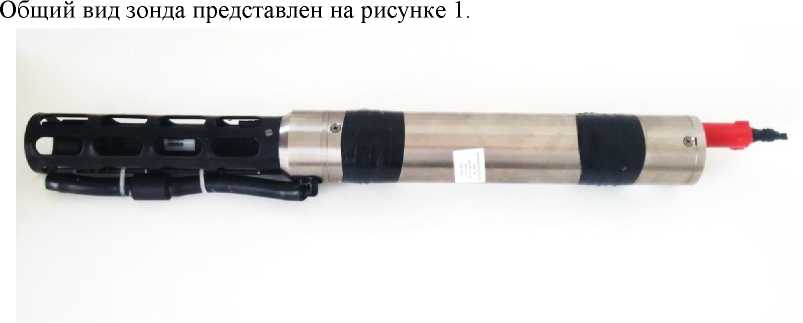 Внешний вид. Зонд гидрологический, http://oei-analitika.ru рисунок № 1