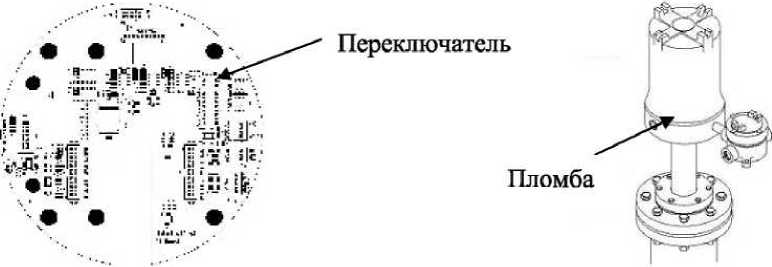 Внешний вид. Системы измерительные количества жидкости в резервуарах, http://oei-analitika.ru рисунок № 5