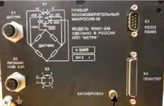 Внешний вид. Весы вагонные электронные, http://oei-analitika.ru рисунок № 7