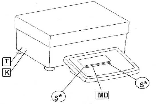 Внешний вид. Весы неавтоматического действия (Signum), http://oei-analitika.ru 