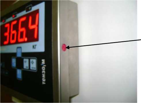 Внешний вид. Весы монорельсовые электронные, http://oei-analitika.ru рисунок № 3