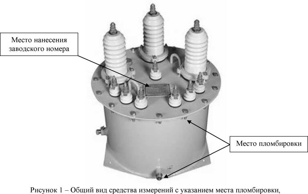 Внешний вид. Трансформатор напряжения, http://oei-analitika.ru рисунок № 1