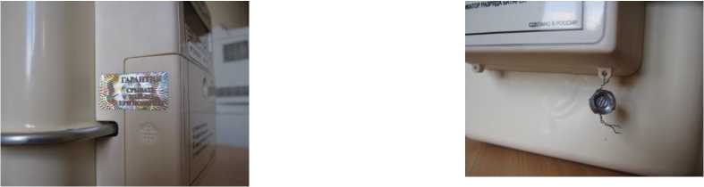 Внешний вид. Счетчики газа объемные диафрагменные с автоматической температурной компенсацией, http://oei-analitika.ru рисунок № 7