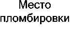 Внешний вид средства измерений: Генераторы сигналов, заводской номер №БП00015579528-02 