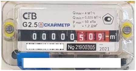 Внешний вид. Счетчики газа объемные диафрагменные, http://oei-analitika.ru рисунок № 10