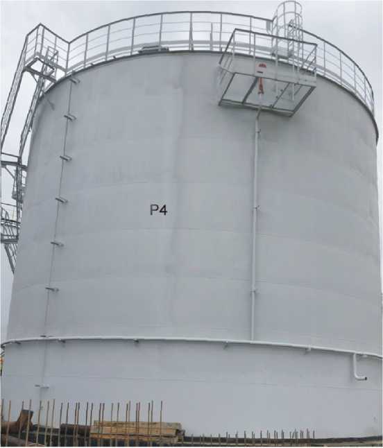 Внешний вид. Резервуары вертикальные стальные цилиндрические, http://oei-analitika.ru рисунок № 4