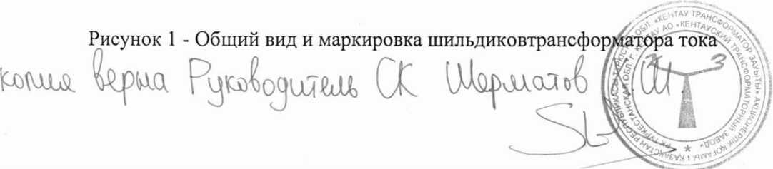 Внешний вид. Трансформаторы тока, http://oei-analitika.ru рисунок № 2
