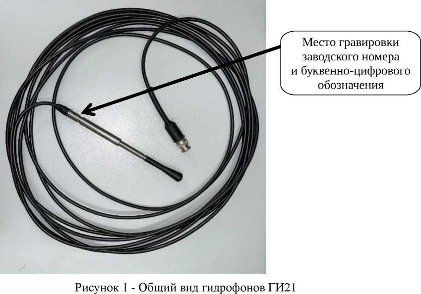 Внешний вид. Гидрофоны измерительные, http://oei-analitika.ru рисунок № 1