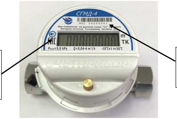 Внешний вид. Счетчики газа малогабаритные бытовые, http://oei-analitika.ru рисунок № 4