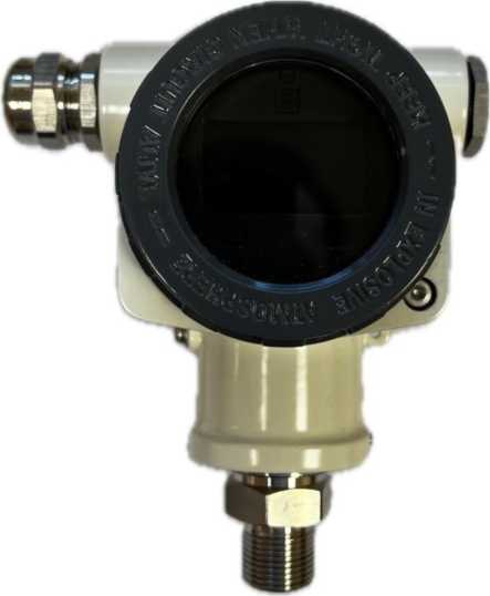 Внешний вид. Преобразователи давления, http://oei-analitika.ru рисунок № 1