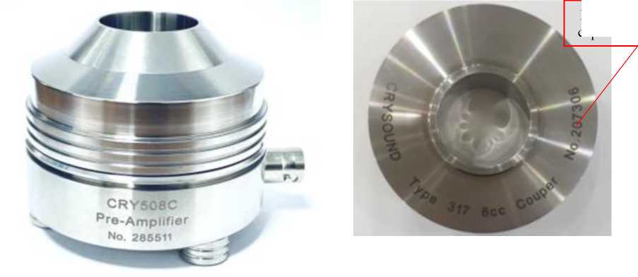 Внешний вид. Уши искусственные, http://oei-analitika.ru рисунок № 1