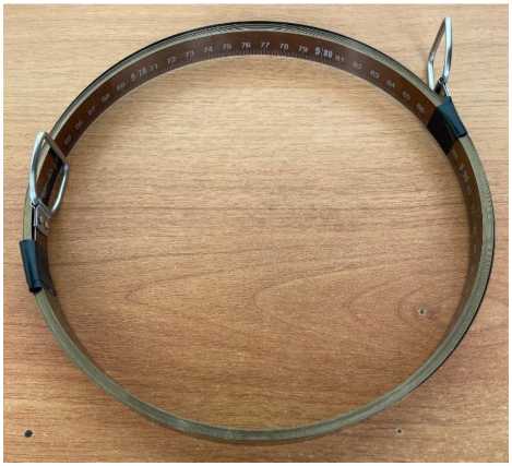 Внешний вид. Лента измерительная, http://oei-analitika.ru рисунок № 1