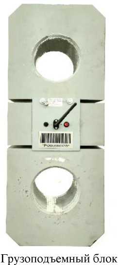 Внешний вид. Весы крановые электронные, http://oei-analitika.ru рисунок № 2