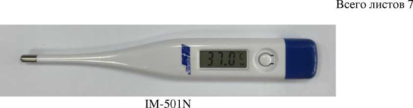 Внешний вид. Термометры медицинские электронные