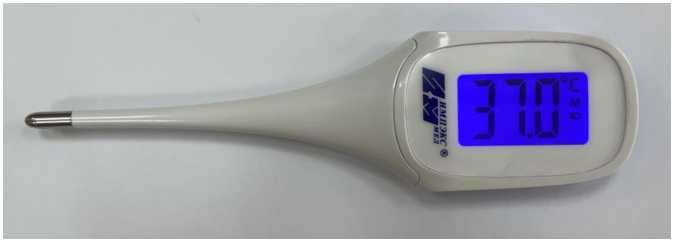 Внешний вид. Термометры медицинские электронные