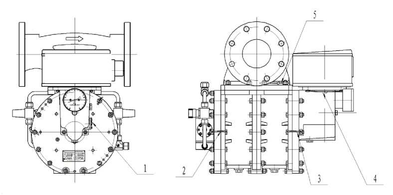 Внешний вид. Счетчики жидкости камерные лопастные, http://oei-analitika.ru рисунок № 4