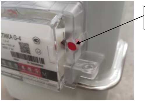 Внешний вид. Счетчики газа объемные диафрагменные, http://oei-analitika.ru рисунок № 4