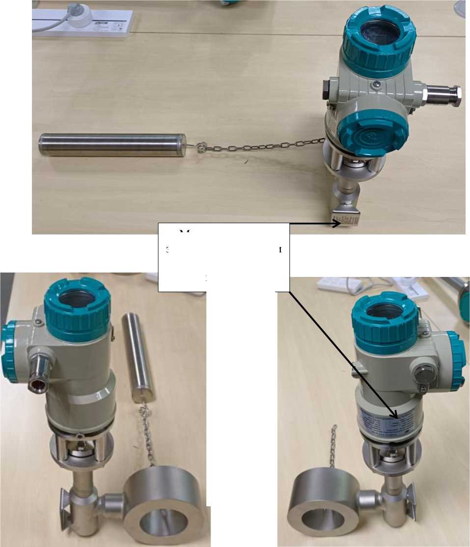 Внешний вид. Уровнемеры буйковые, http://oei-analitika.ru рисунок № 1