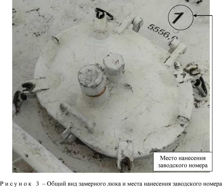 Внешний вид. Резервуары (танки) стальные вертикальные цилиндрические танкера ТН-727, http://oei-analitika.ru рисунок № 3