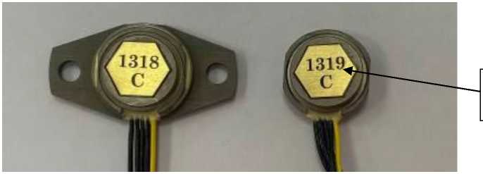 Внешний вид. Акселерометры пьезорезистивные, http://oei-analitika.ru рисунок № 1