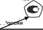 Внешний вид. Гири (ГЭ-П), http://oei-analitika.ru