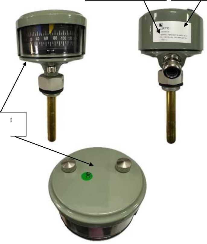Внешний вид. Термометры биметаллические, http://oei-analitika.ru рисунок № 1