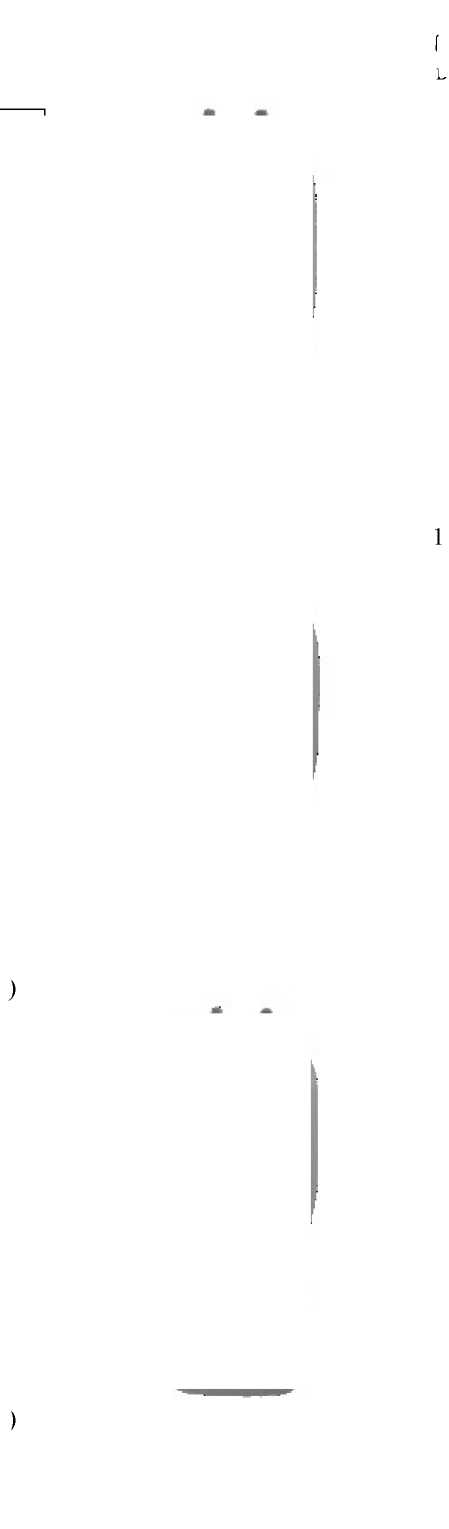 Внешний вид. Манометры цифровые дифференциальные, http://oei-analitika.ru рисунок № 1