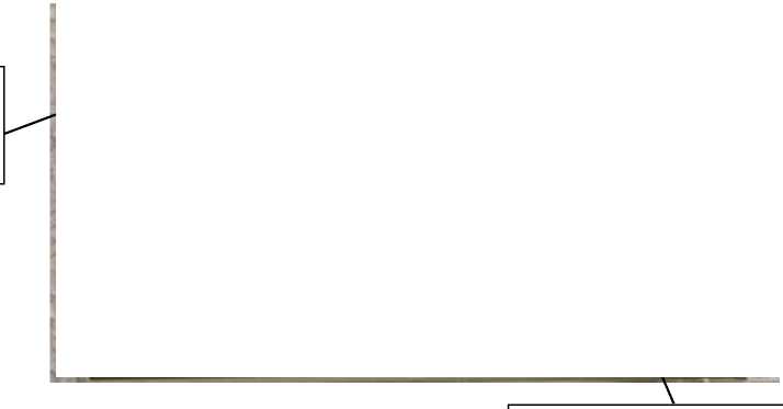 Внешний вид. Зонды электростатические, http://oei-analitika.ru рисунок № 2