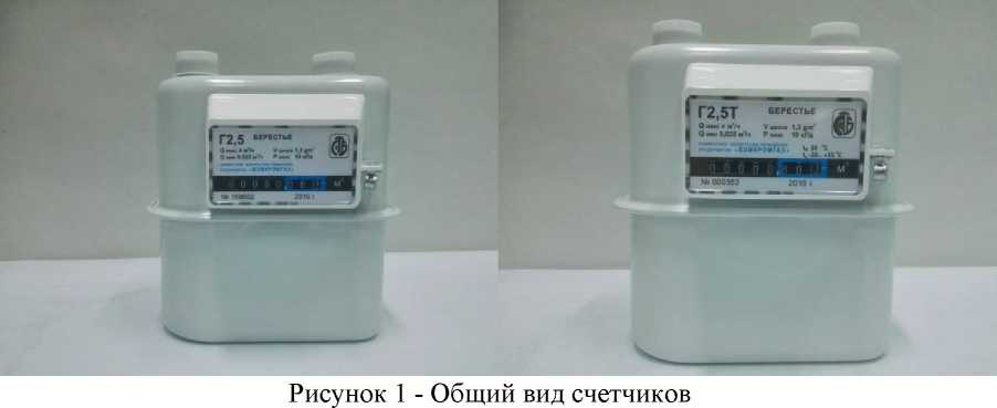 Внешний вид. Счетчики газа, http://oei-analitika.ru рисунок № 1
