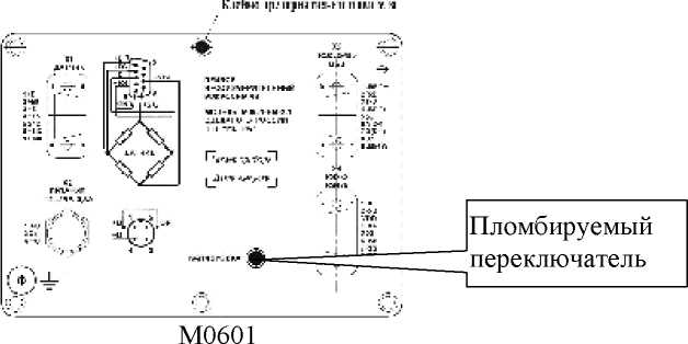 Внешний вид. Весы платформенные, http://oei-analitika.ru рисунок № 8