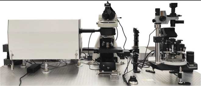 Внешний вид. Микроскопы сканирующие зондовые, http://oei-analitika.ru рисунок № 7